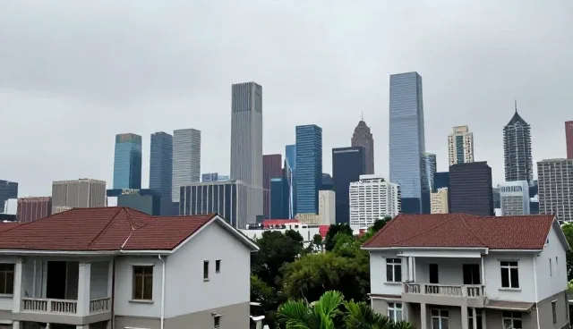 系统优化在不同规模项目中的适用条件分析